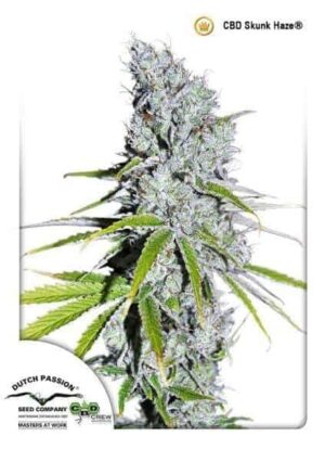 CBD Skunk Haze CBD Skunk Haze